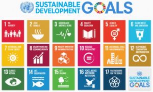 UN Sustainable Development Goals